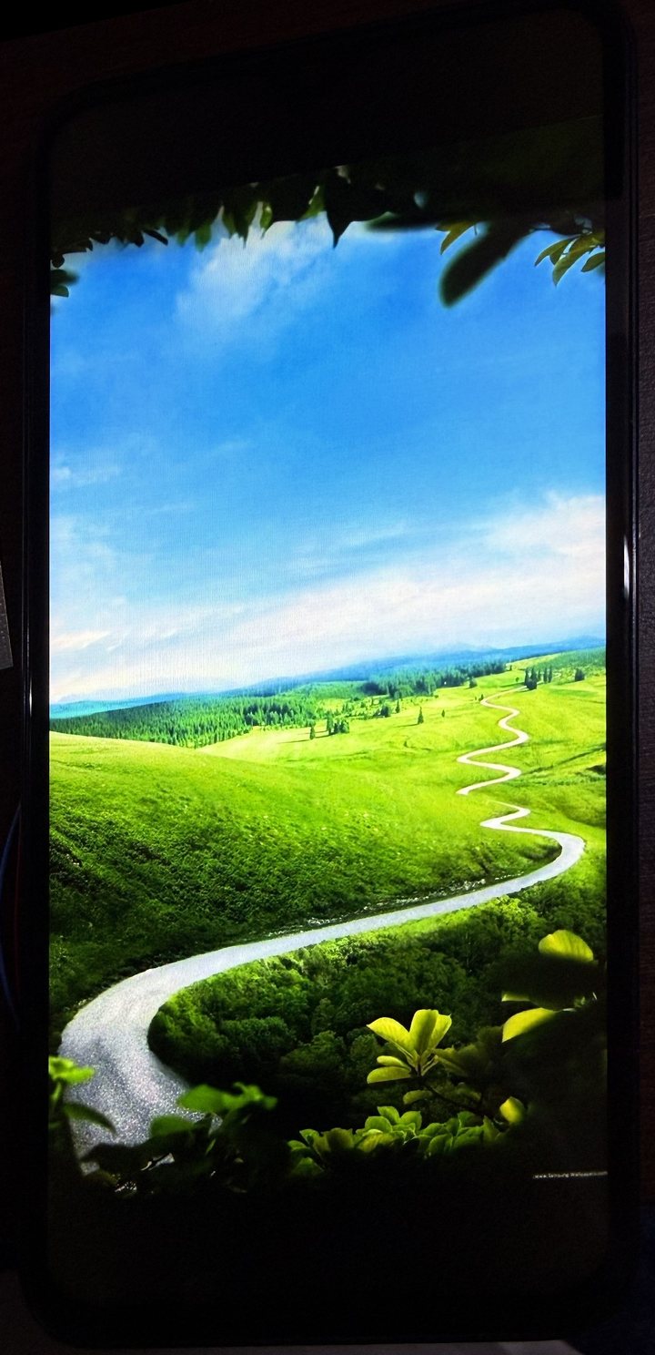 Samsung Galaxy A15, F3: imagine de test natură