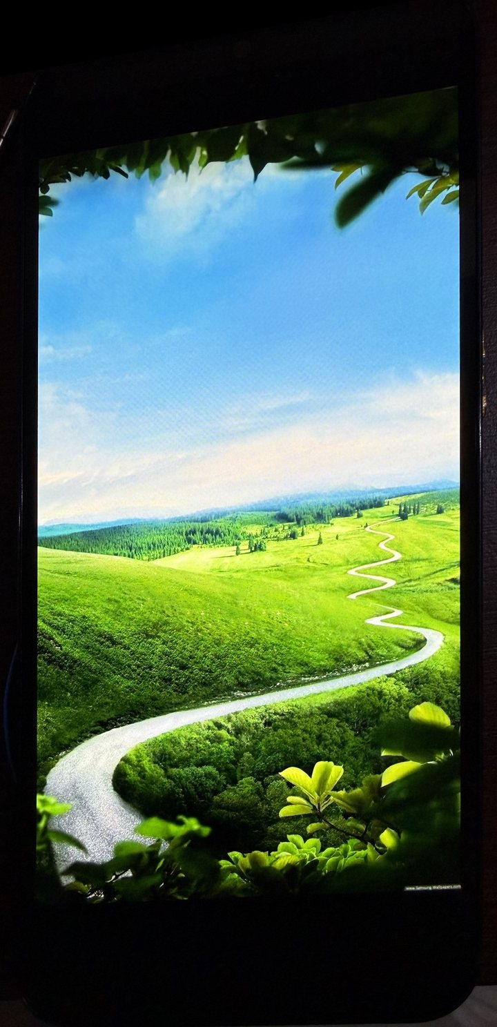 Samsung Galaxy A15, Service Pack: imagine de test natură