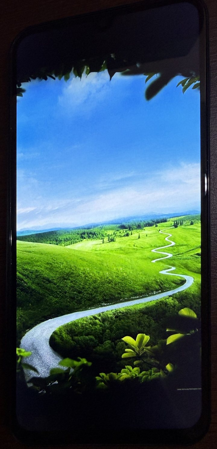 Samsung Galaxy A15, LCD: imagine de test natură